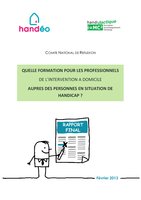 Handéo - Handidactique I=MC² - Comité National de Réflexion - Formation des Professionnel - Rapport final - février 2013