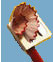 Le bookmark