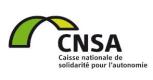 Aide, maintien et services à domicile : Préconisations pour accompagner les proches aidants, ces acteurs « invisibles ».
