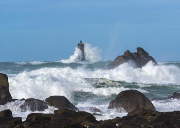 Jardinage - Bretagne