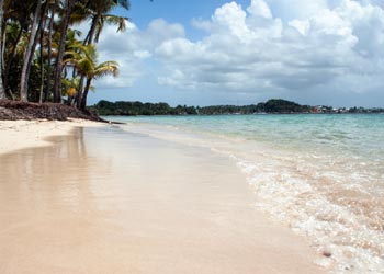 Séjour Temporaire en Résidence Seniors    à Macouria 97355 dans la Guyane