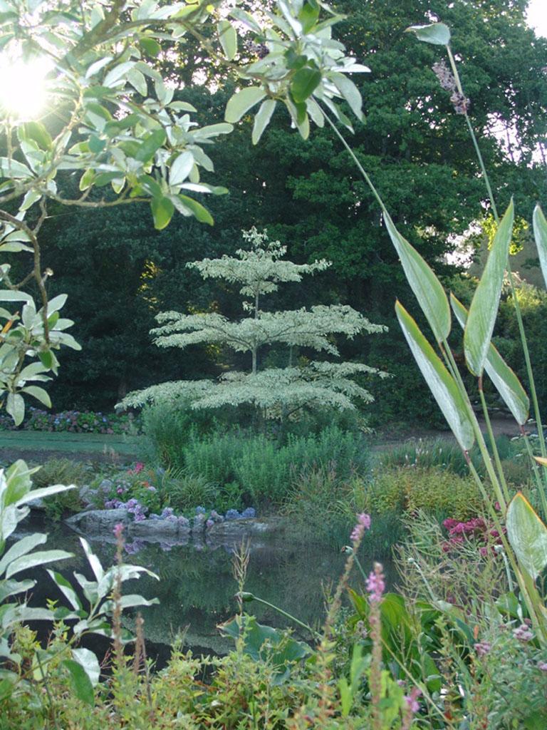 Parc Botanique de Cornouaille