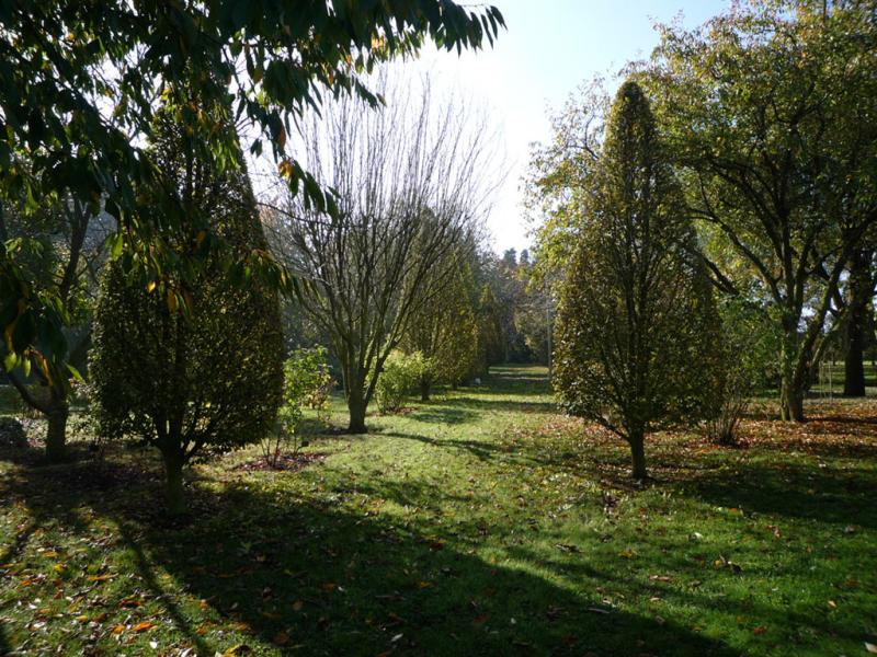 Jardins du Donjon de Ballon