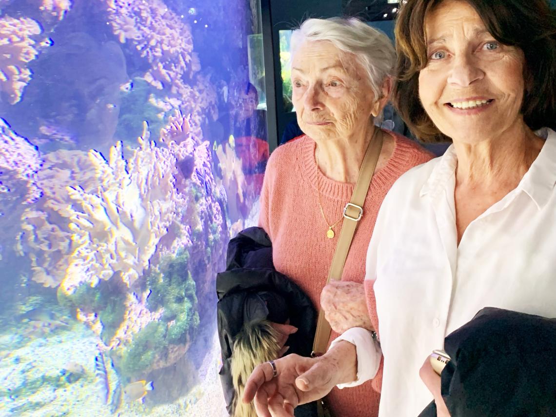 Résidence Services Seniors Villavie - Villa Royale