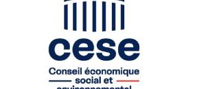 Le CESE appelle à renforcer le déploiement du numérique et de l'intelligence artificielle au service de notre système de santé