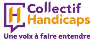 Rapport de Laurent VACHEY : Le Collectif Handicaps attendait plus