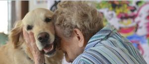 Guide maisons de retraite seniors et personnes agées : Soutenez l'AFTAA pour la création d'un pôle «famille d'accueil» au sein de l'association pour placer des chiots en famille