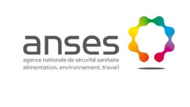 ANSES : Happy Birthday!