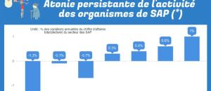 Aide, maintien et services à domicile : Le marché des services à la personne (SAP)  en panne de croissance