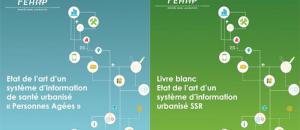 La FEHAP publie deux nouveaux Livres Blancs sur les Systèmes d'Information de Santé (SIS) urbanisés
