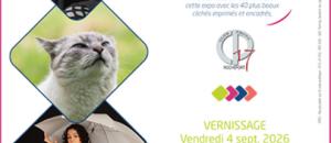 Exposition temporaire & vernissage