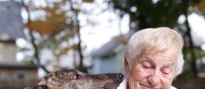 Guide maisons de retraite seniors et personnes agées : Médiation animale en maison de retraite