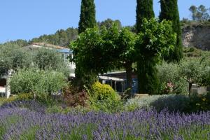 Maison de Famille Les Hauts Guirans