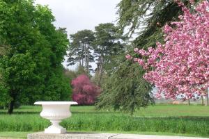 Parc du château de Martreil