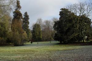 Parc de la Guinefolle