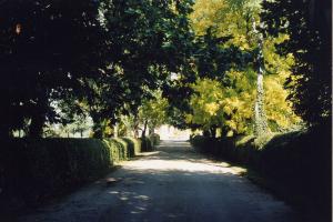 Domaine de l'Auneau