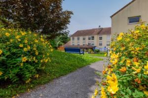 Cession Lot Ehpad à Bretigny-sur-Orge - Les jardins du lac - EMEIS