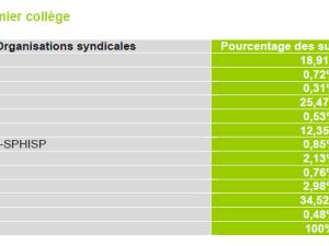 alt="Résultats des premières élections professionnelles au sein des ARS"