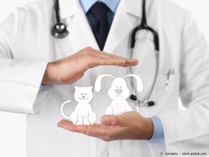 alt="Senior, comment s'assurer de la santé de son compagnon chien ou chat?"