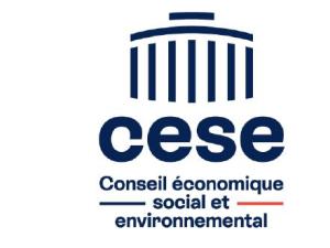  alt="Le CESE appelle à renforcer le déploiement du numérique et de l'intelligence artificielle au service de notre système de santé"