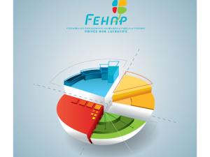  alt="FEHAP : AG 2014 et Projet Stratégique 2014-2020"