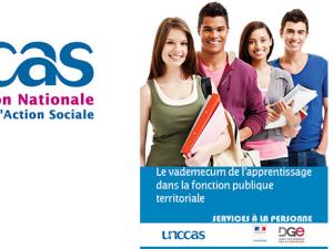  alt="Le contrat d'apprentissage au sein d'un CCAS"