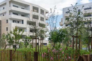 Les Senioriales PESSAC