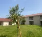 Habitat partagé seniors : La Maison de Blandine inaugure sa troisième maison en Isère à Faramans