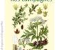 Les Remèdes de nos campagnes