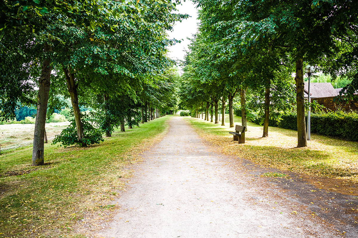 Résidence Les Jardins d'Arcadie de SAINT-MICHEL-SUR-ORGE