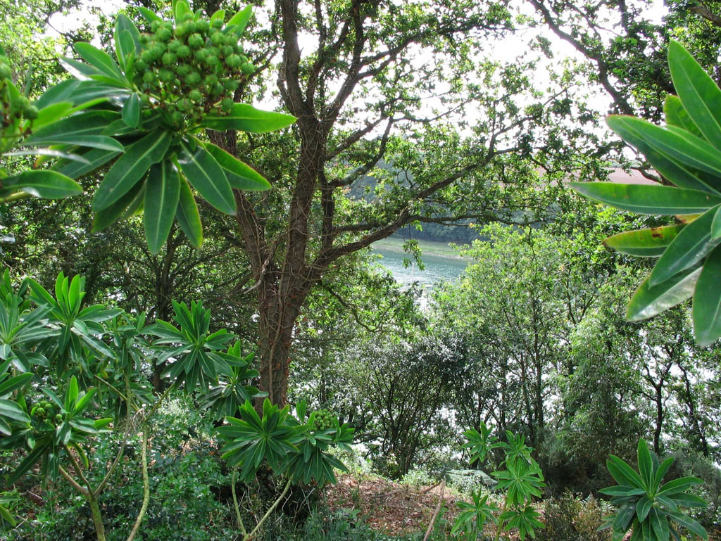 Arboretum de Keracoual