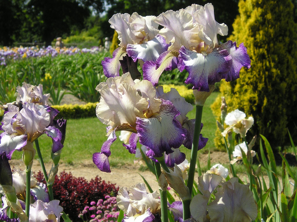 Jardins de Brocéliande