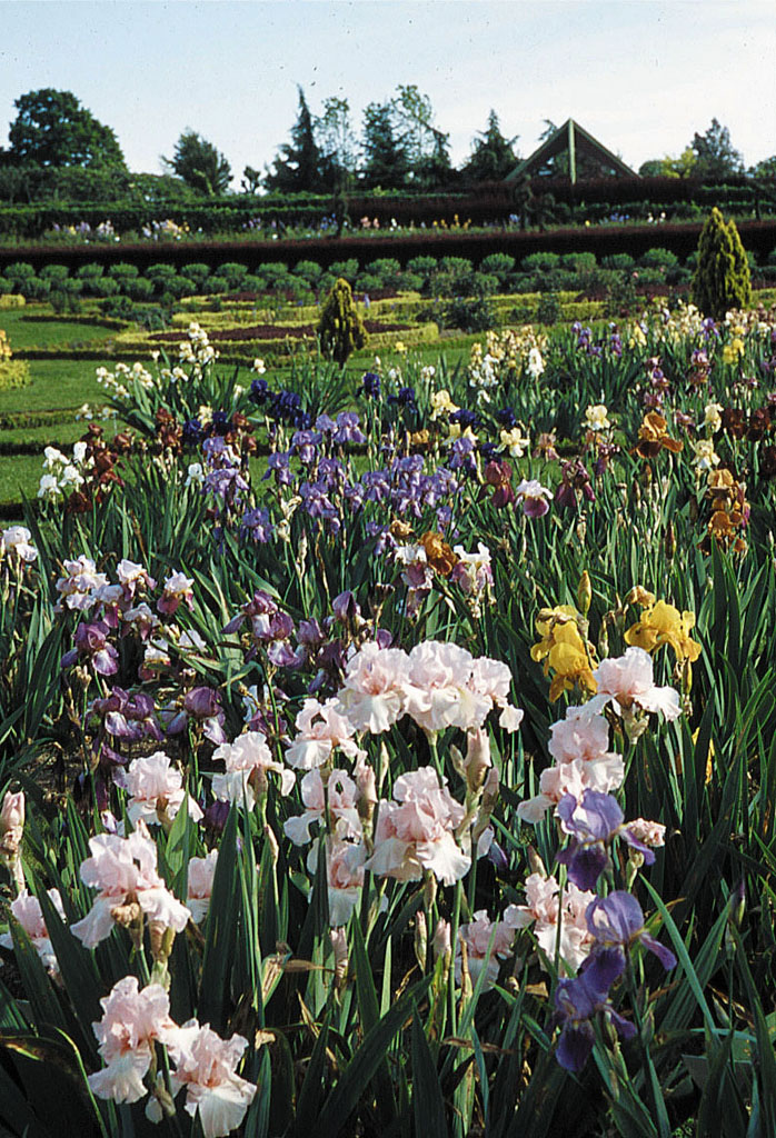 Jardins de Brocéliande