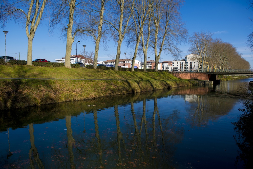 Résidence Les Senioriales de Toulouse - Canal du Midi : Le Canal du Midi